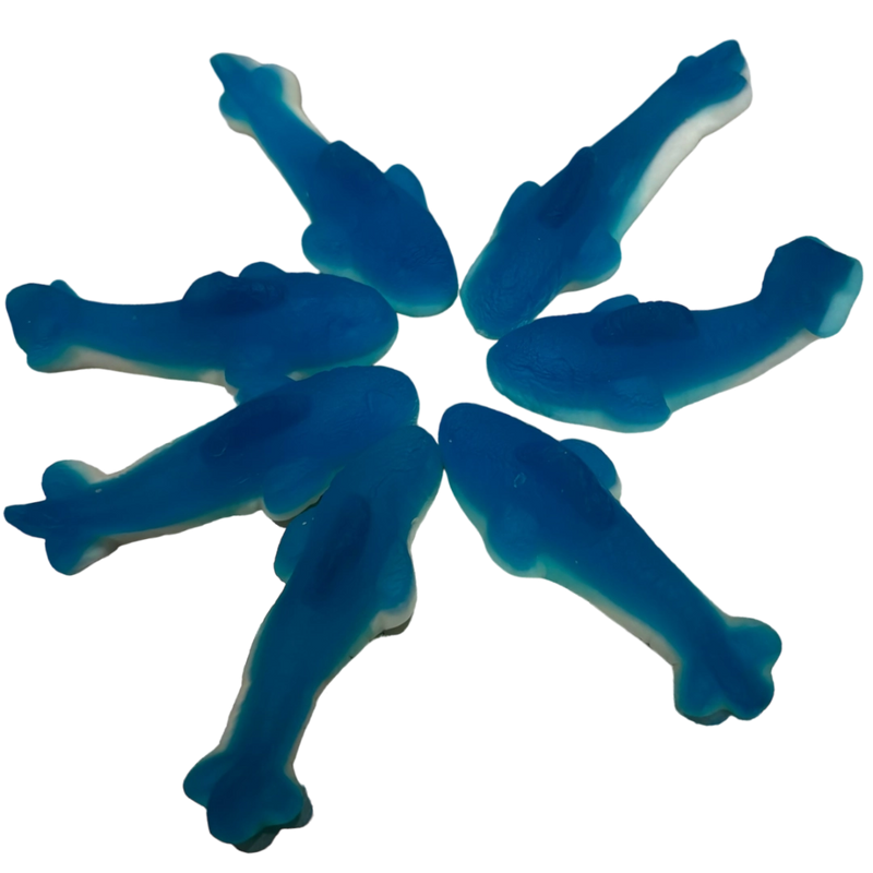 Blue and white shark shaped lollies