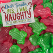 Dear Santa, Yes I was Naughty and it was Worth It sign with red and green frog lollies