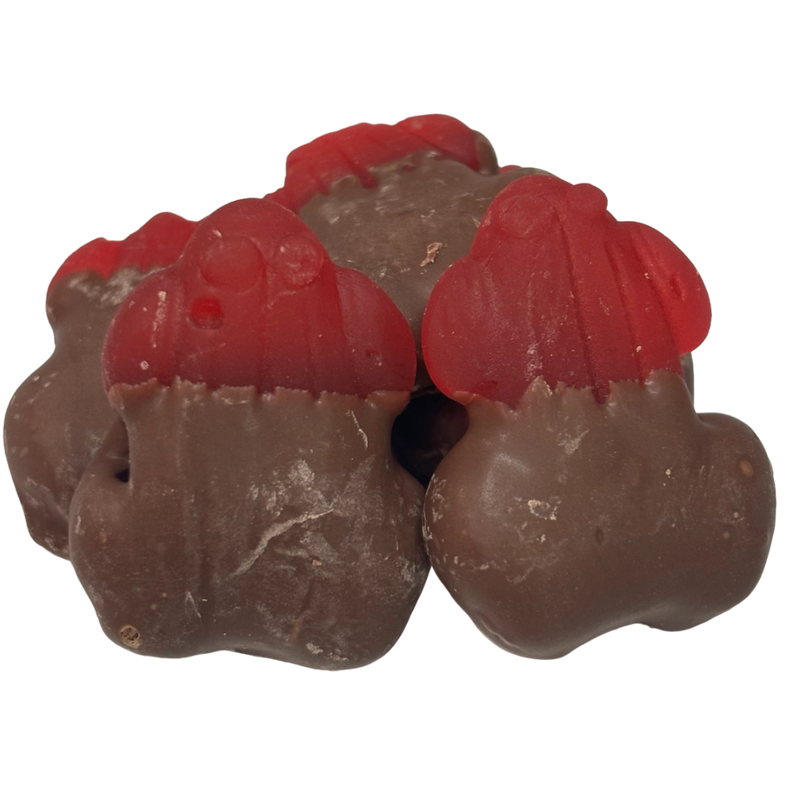 Red frogs half dipped in milk chocolate