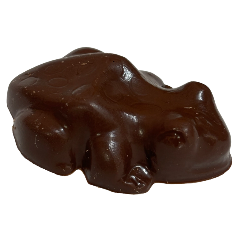 Milk chocolate frog